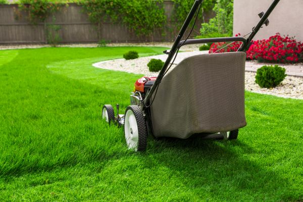 Lawn Mowing in Layton
