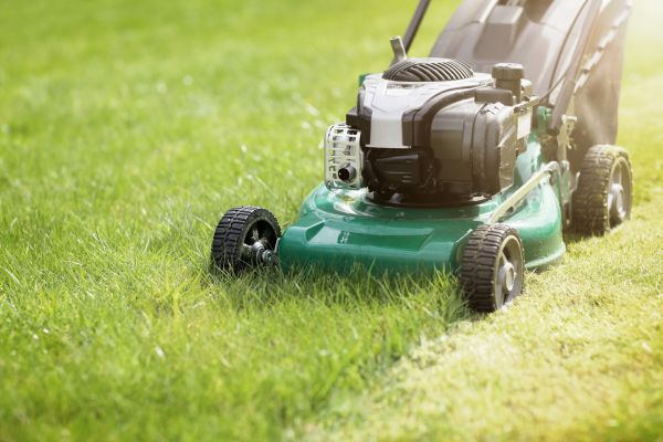 Yard Cutting in Layton
