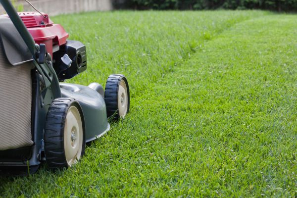Residential Lawn Care in Layton