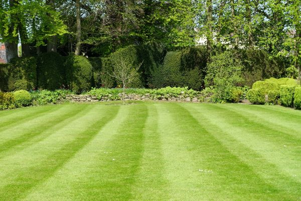 Grass Care Service in Layton