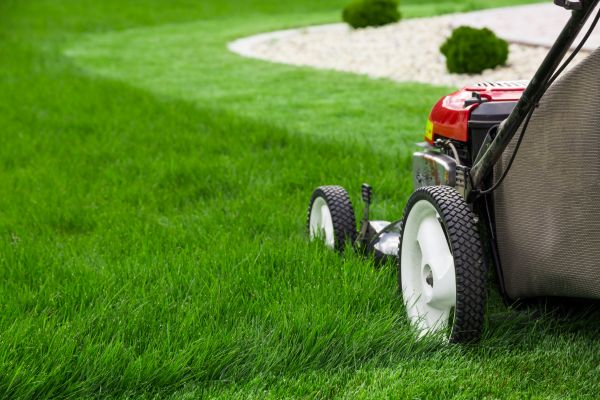 Lawn Service in Layton