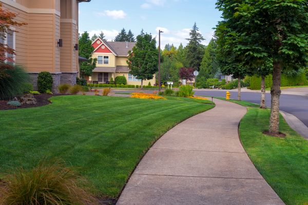 Home Lawn Maintenance in Layton