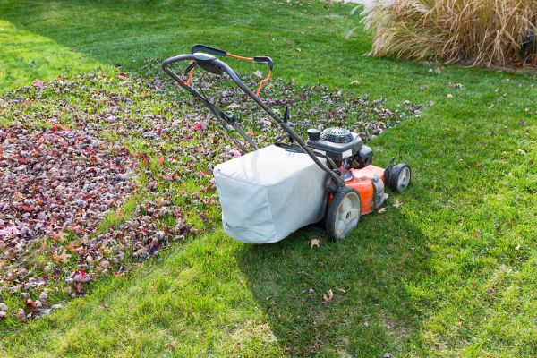 Seasonal Lawn Care in Layton