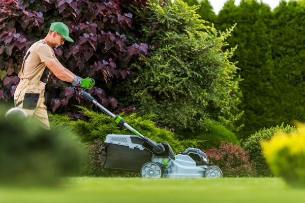 Lawn Management in Layton