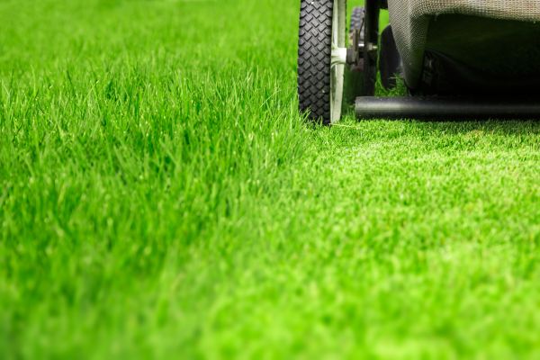 Weekly Lawn Care in Layton