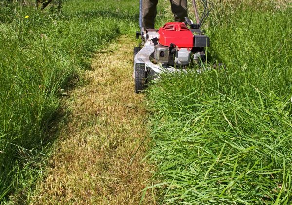 Leaf Mowing in Layton