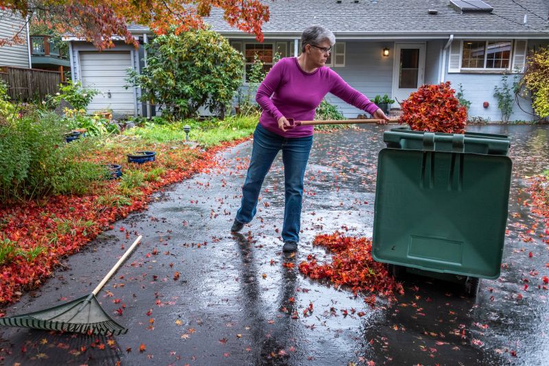 Fall Lawn Debris Clearing