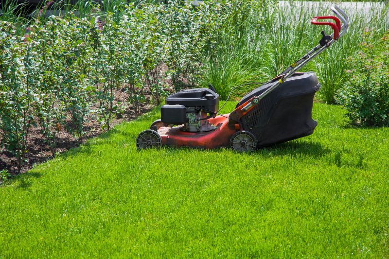 Lawn After Mowing
